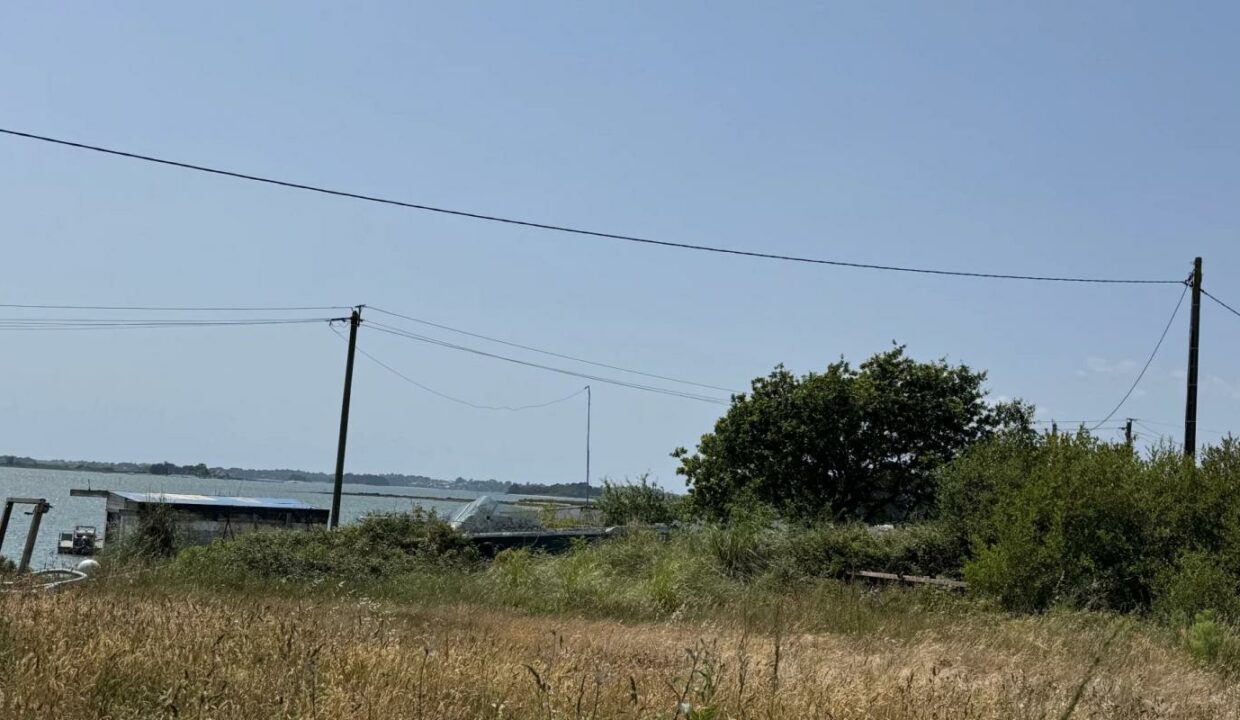 85977305-31072025-125219-14