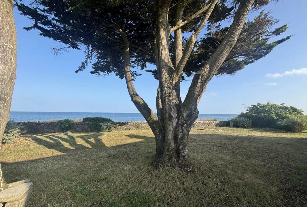 106752FP-30092025-142057