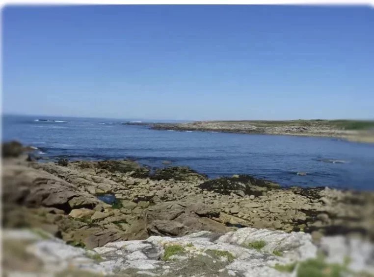 106273IG-02102025-164939-2