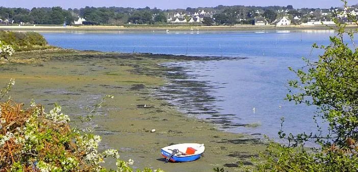 106282IG-29102025-120931