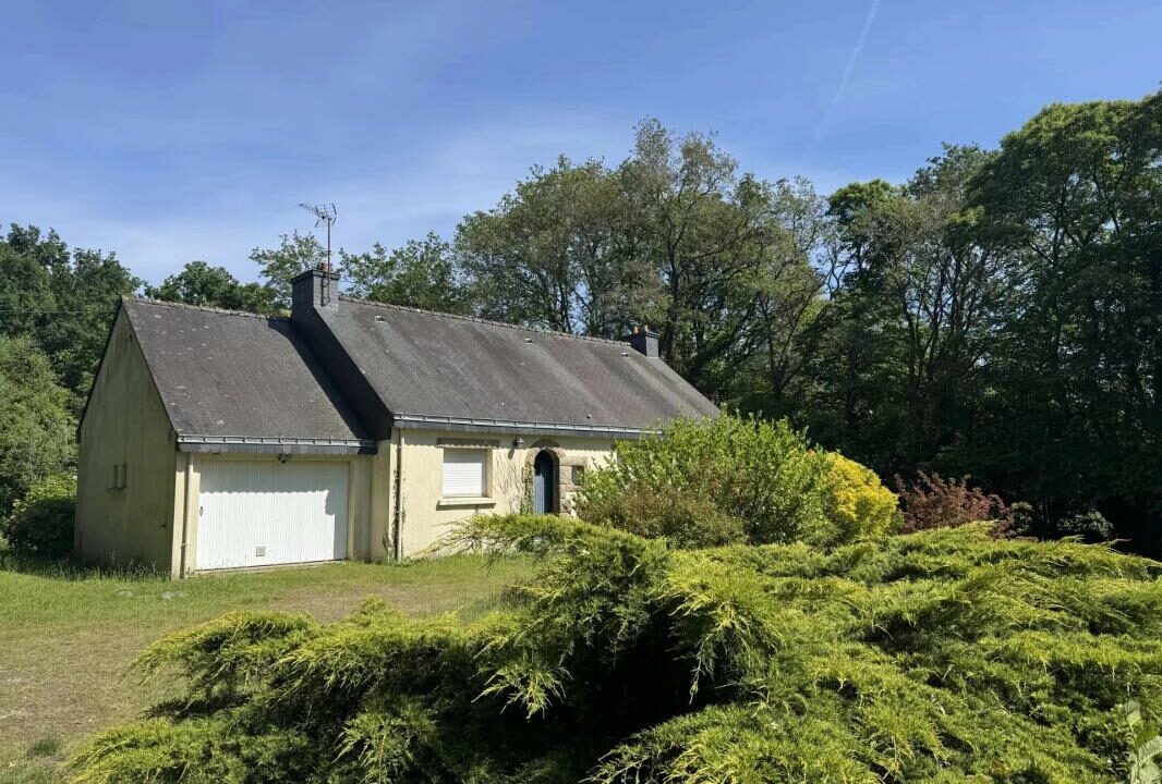 106668PG-27102025-145639-1