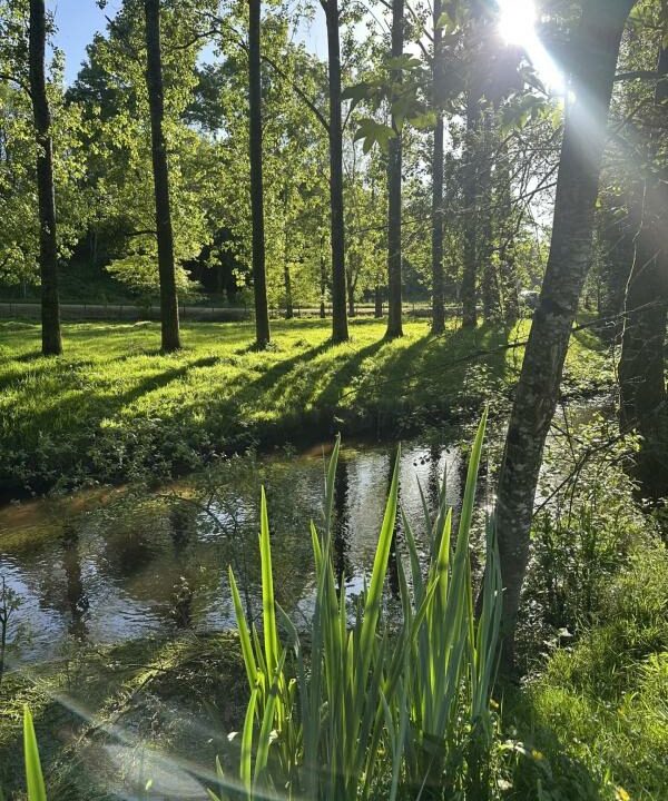 106716-23102025-172855-10