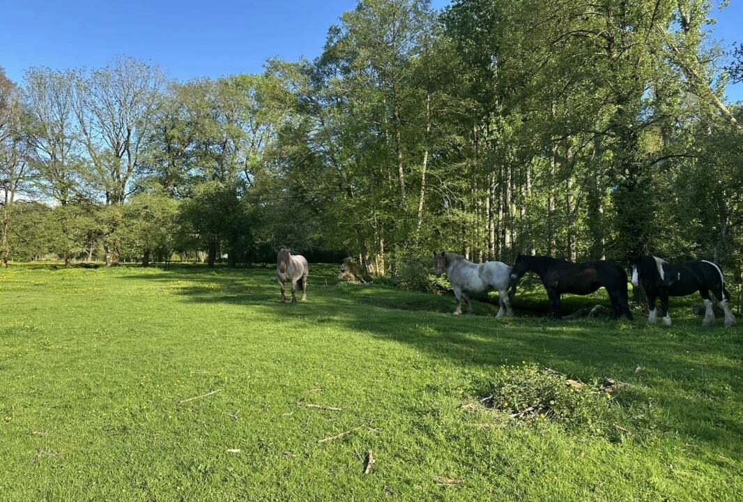 106716-23102025-172855-3