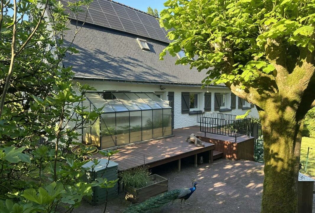 106716-23102025-172855-4