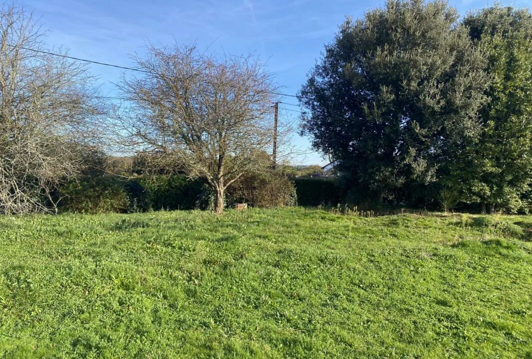 106735IG-23102025-172822-1