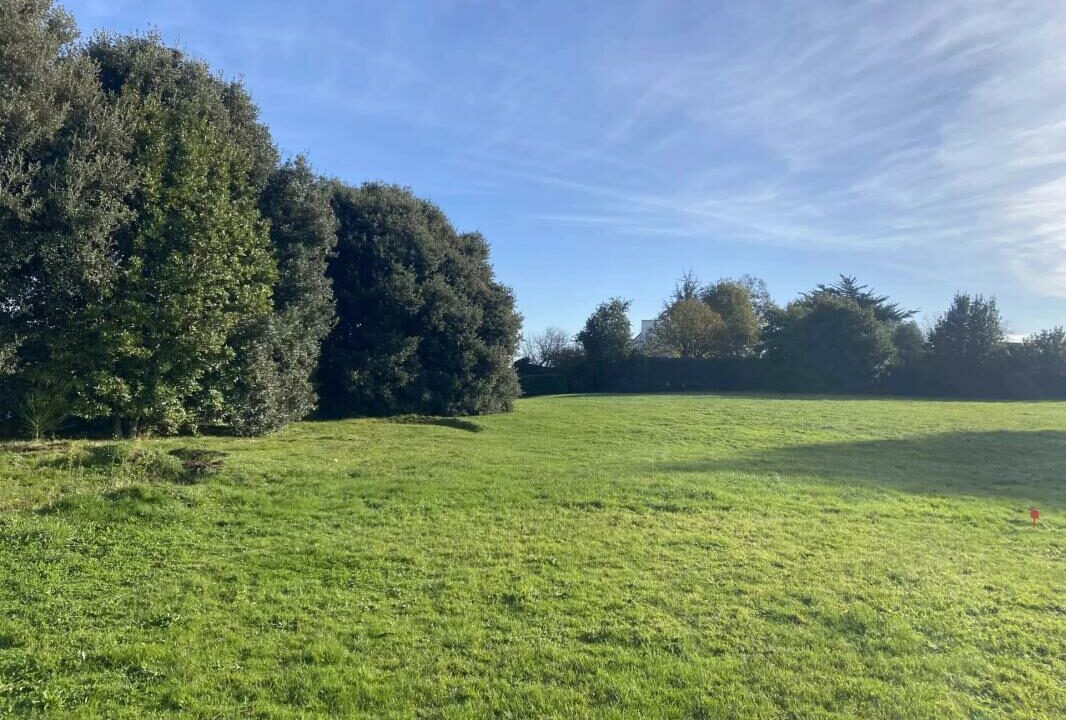 106735IG-23102025-172822