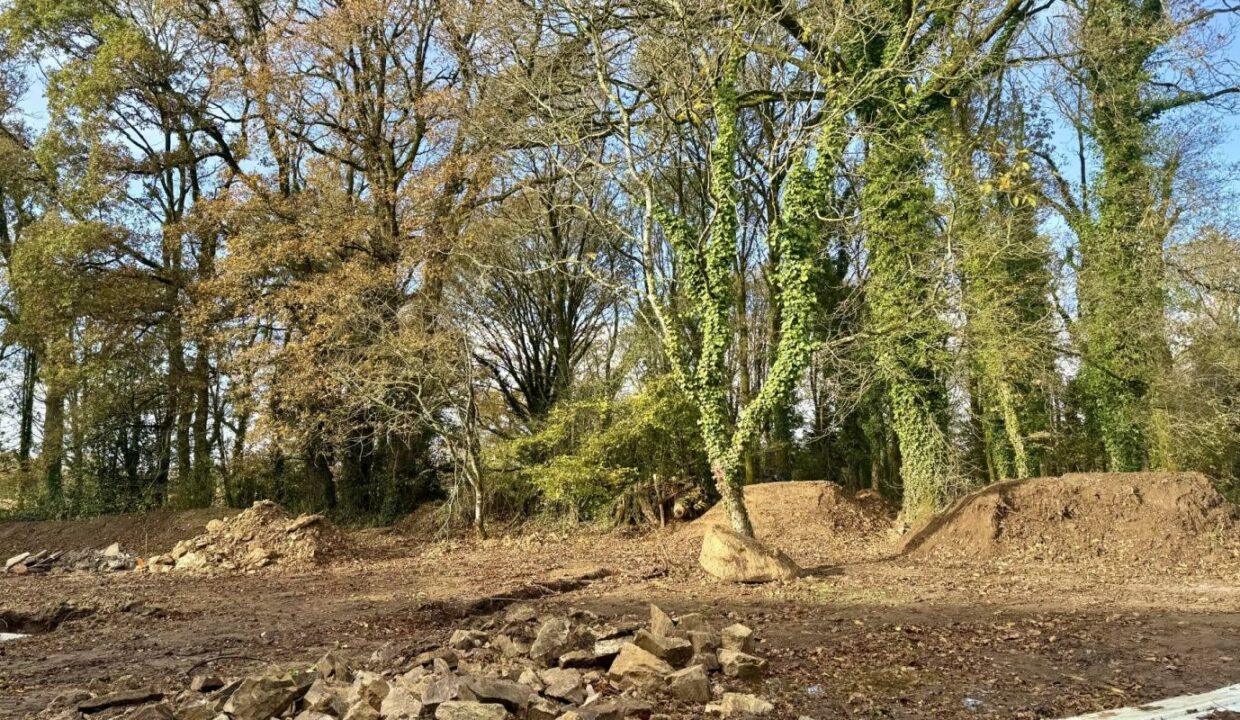 106561-14112025-212116-7