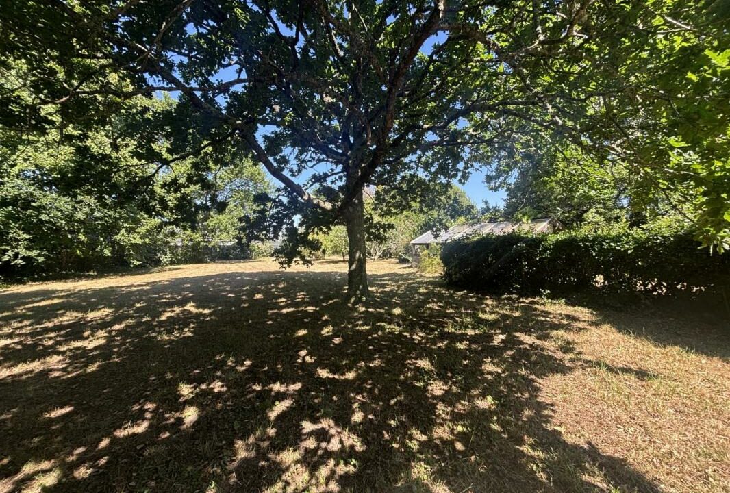 106705FP-17112025-210358-1