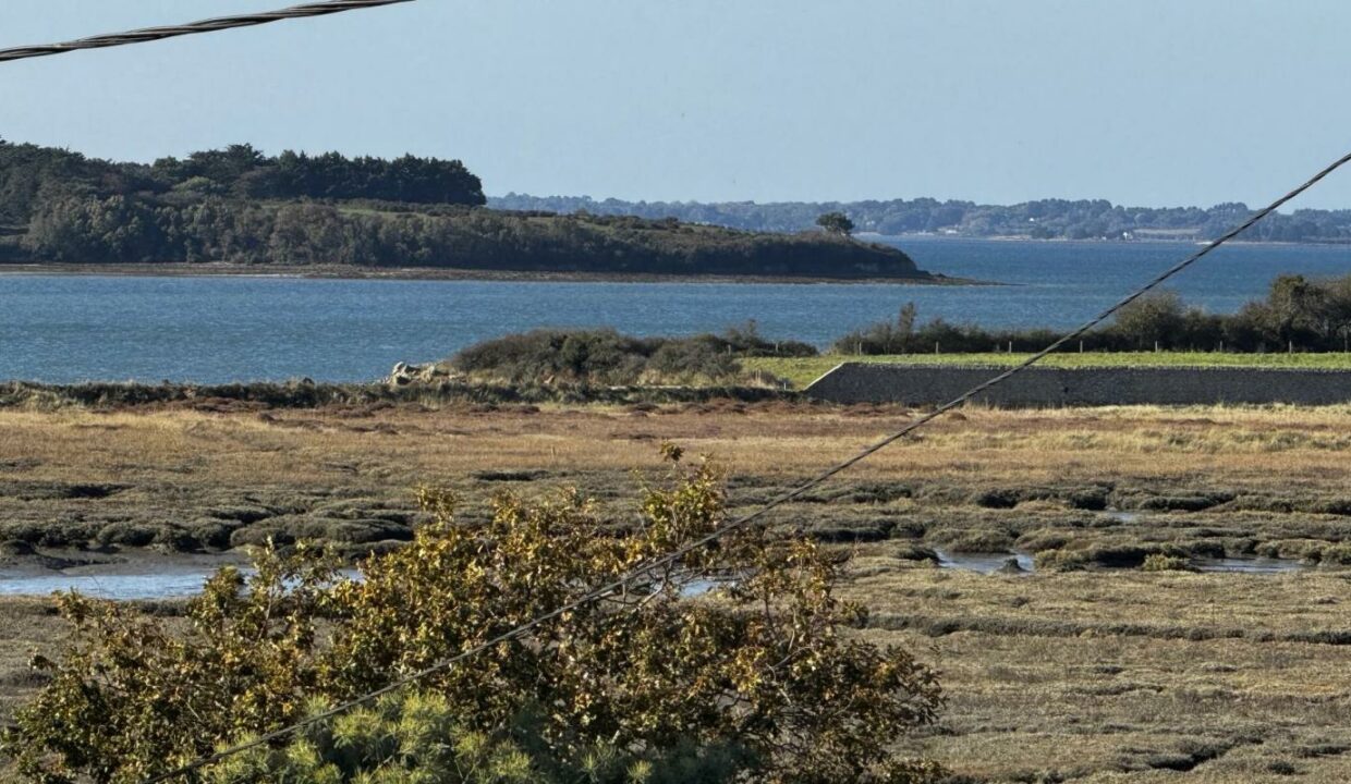 106779-10112025-104144