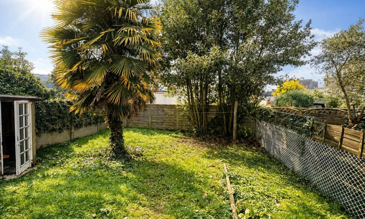 106446SB-26012026-200305-1