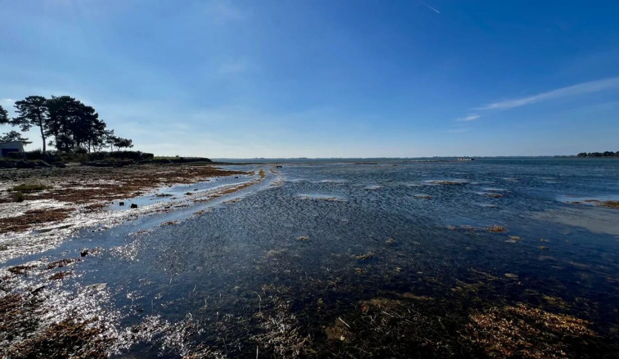 106461bs-07012026-115247-3