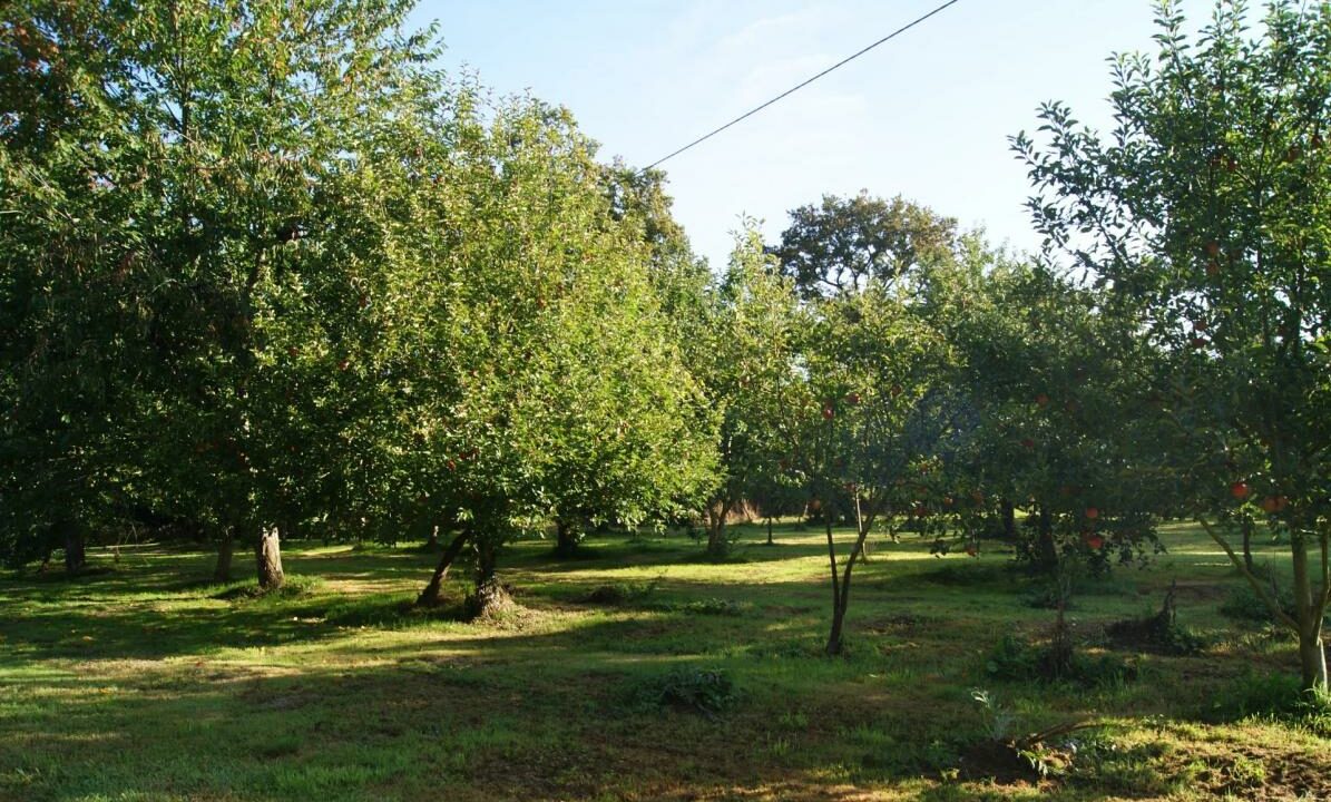 106507EB-16012026-153400-15