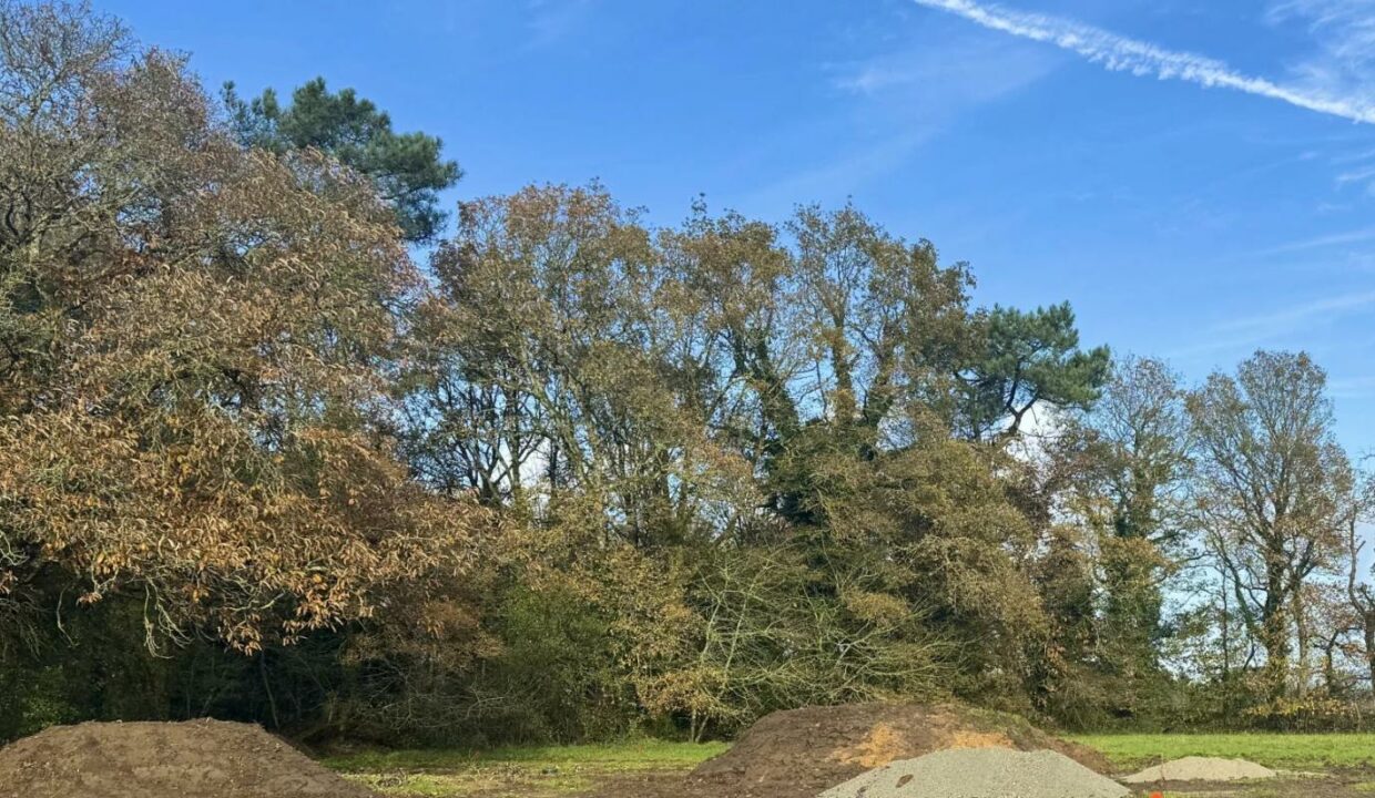 106561-09012026-105449-2