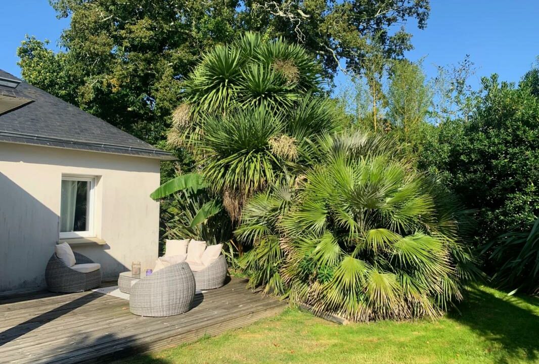 106788HS-15012026-122804-1