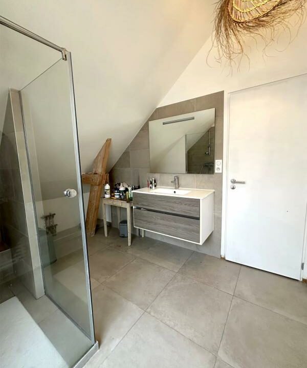 259-23012026-194615-6