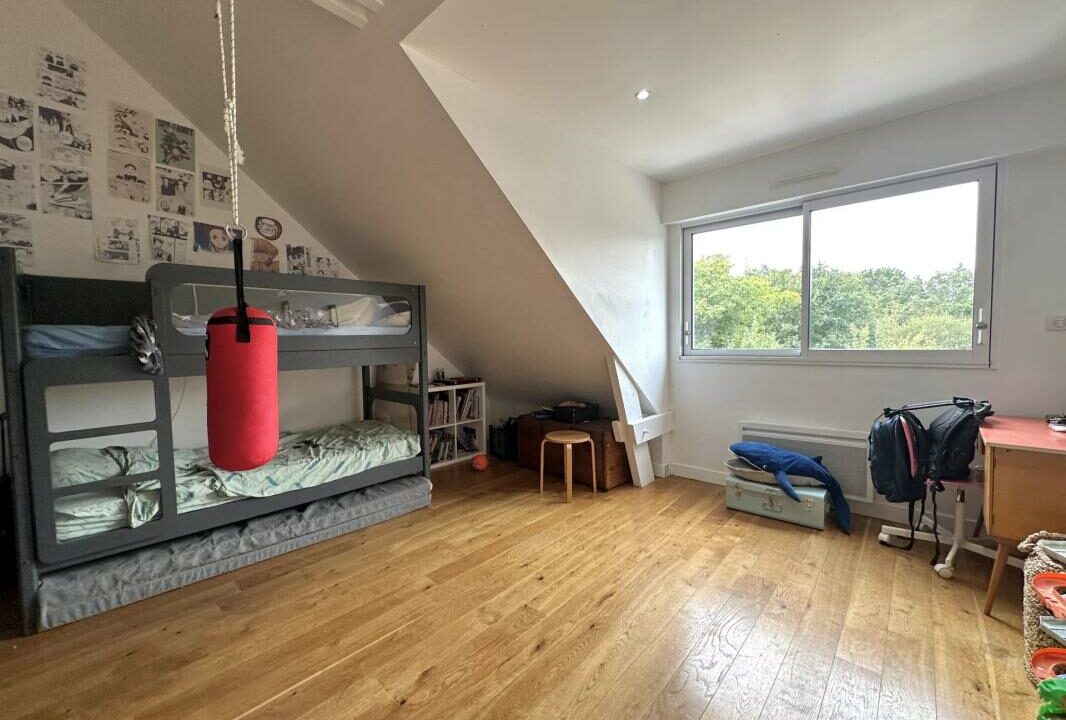 259-23012026-194615-7