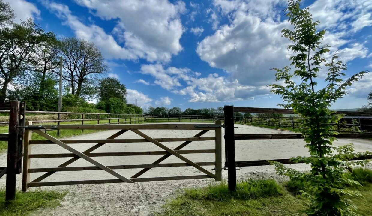 84839454-07012026-210542-3