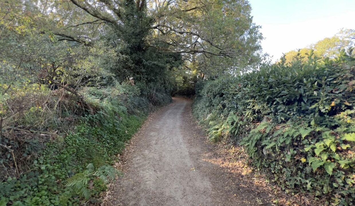 106704SB-20022026-013034-3