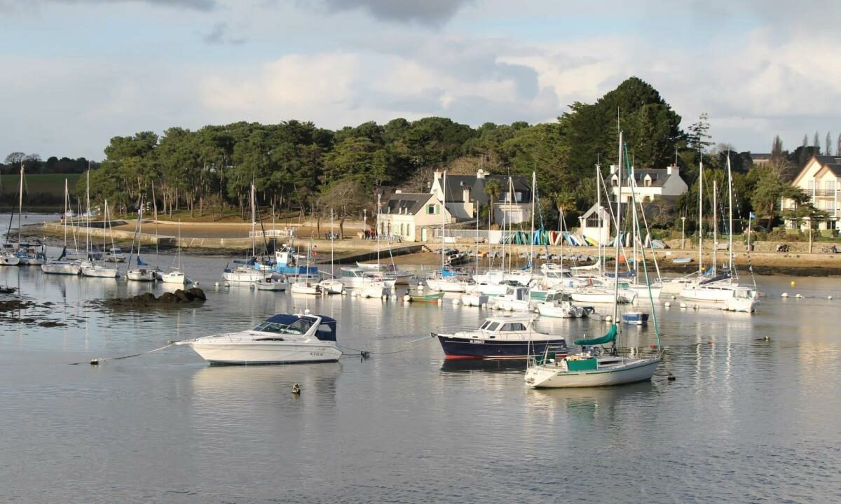 106798GP-15022026-182243