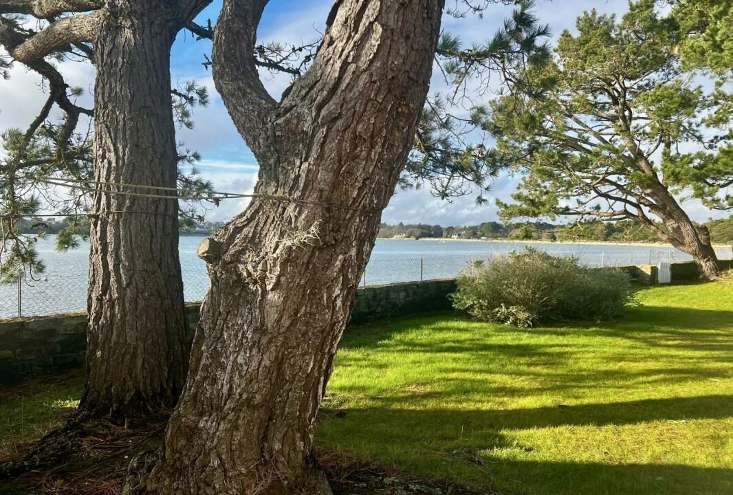 106818SB-02022026-115225-2