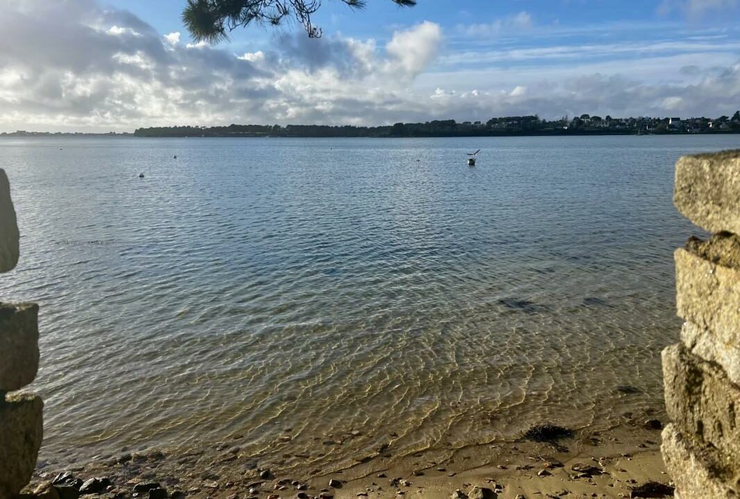 106818SB-02022026-115225-4