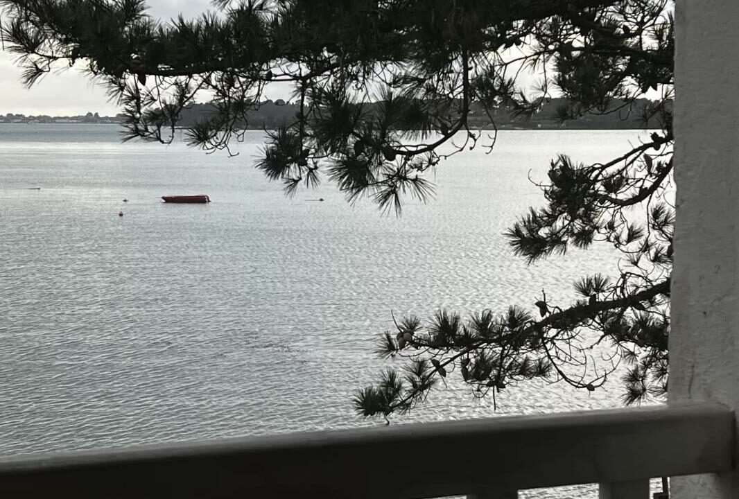 106818SB-04022026-193205