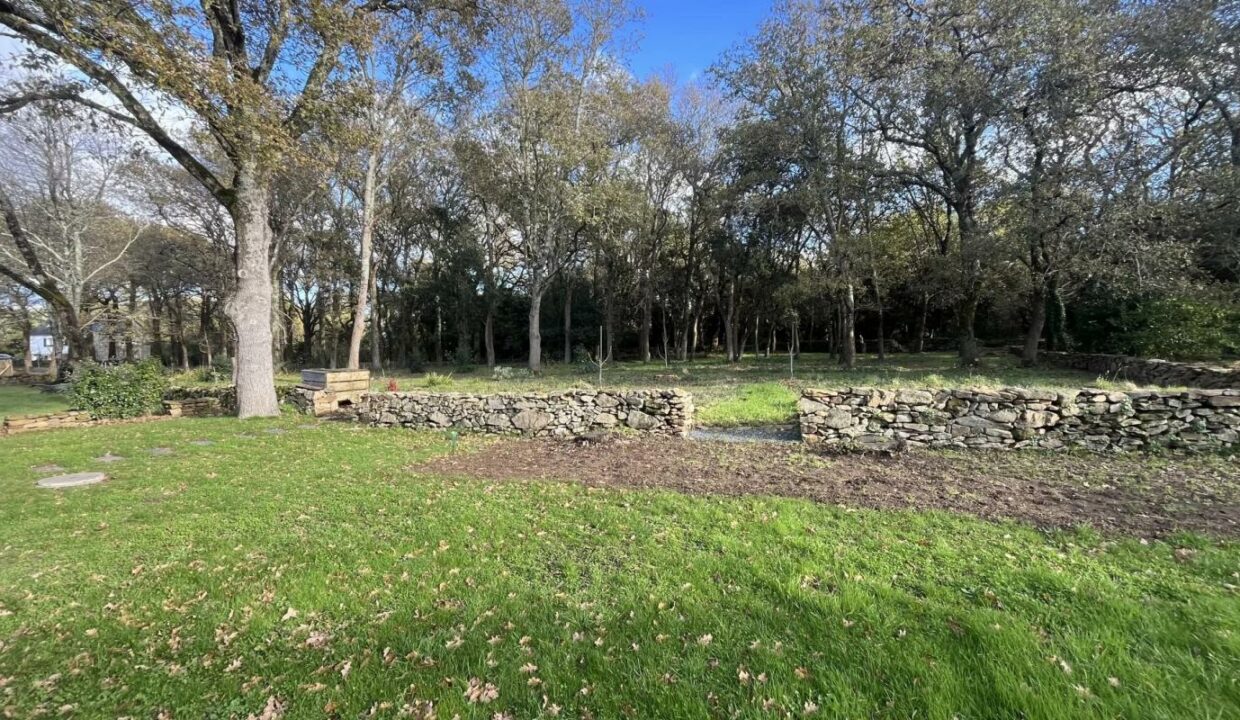 106821ALG-05022026-160308-6