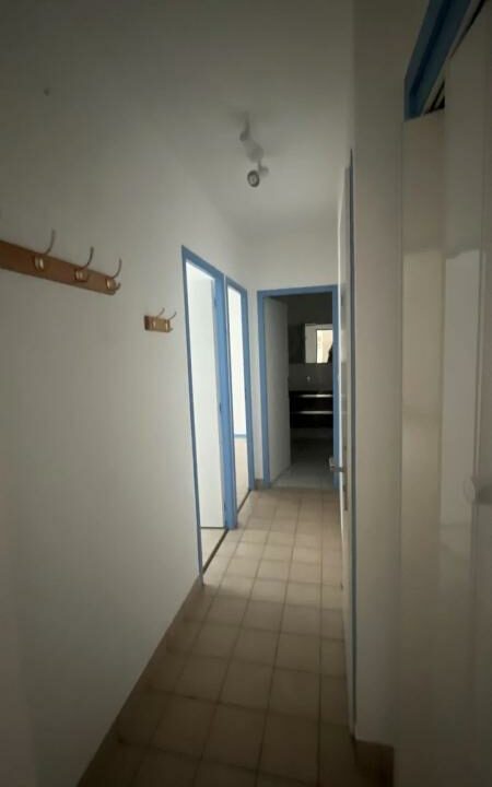 1966ALG-19022026-064518-11