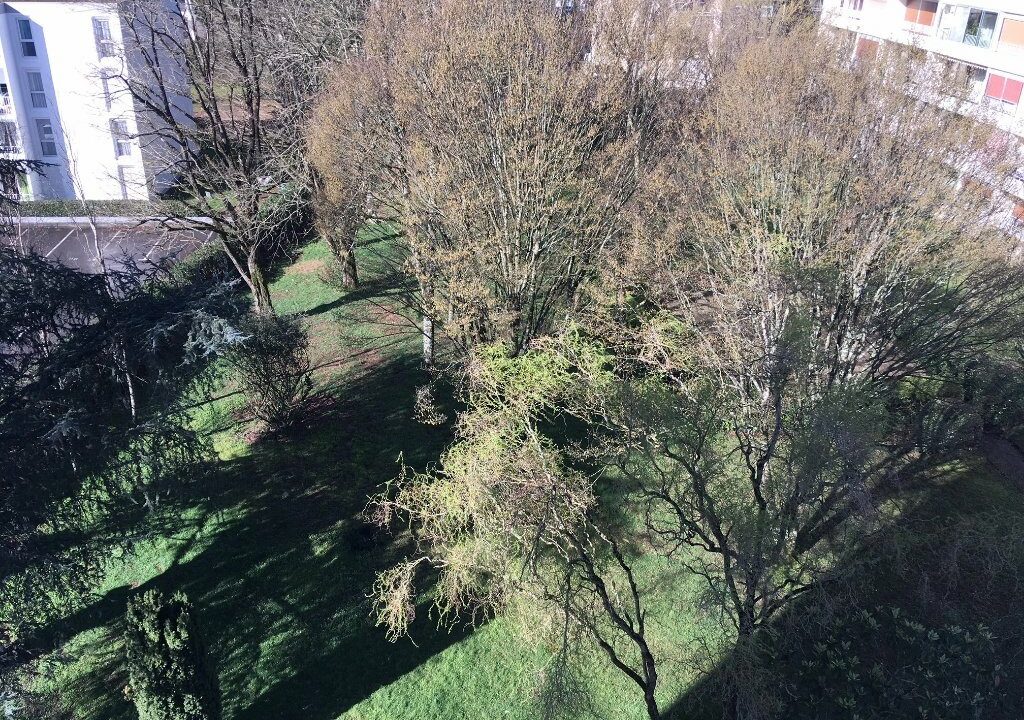 1975-17022026-081202-1