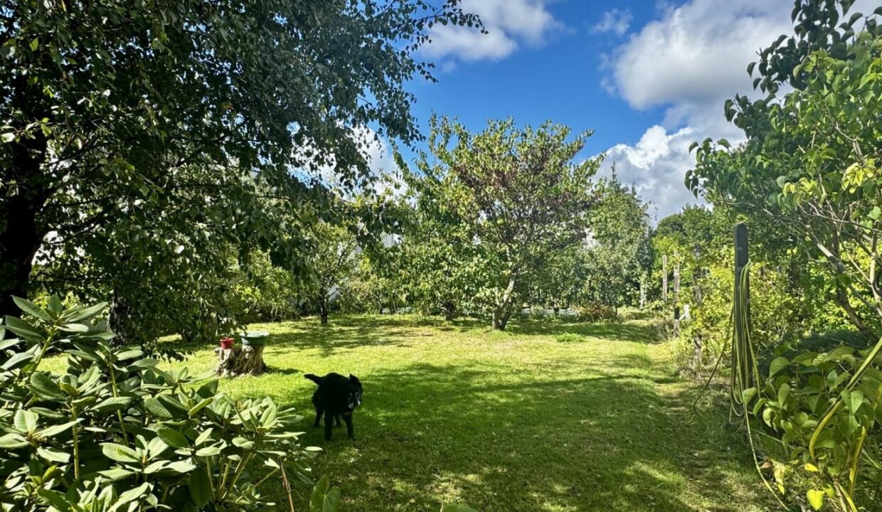 1978-06022026-174902