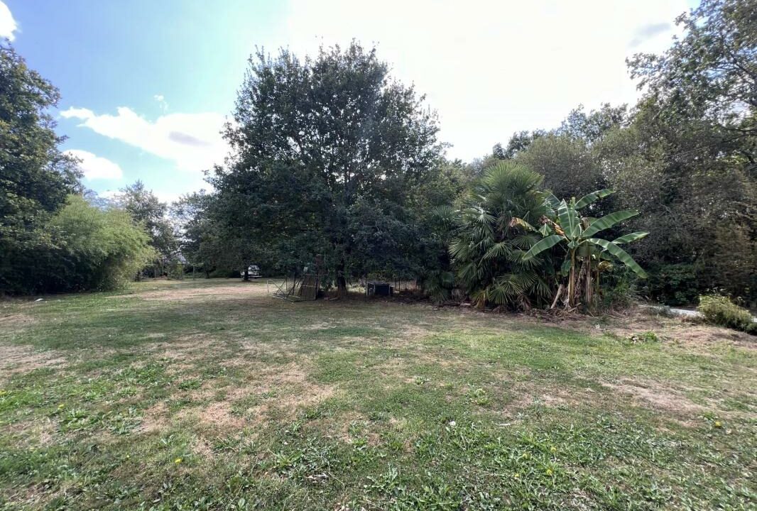 259-10022026-045634-10