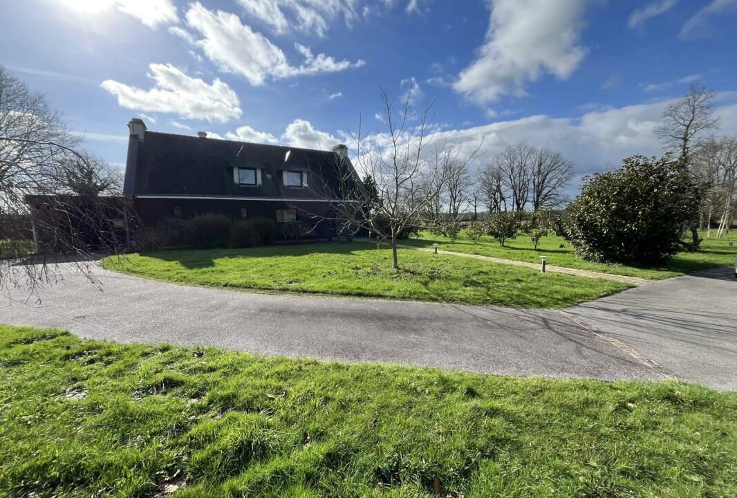 1981PG-10032026-205153-4