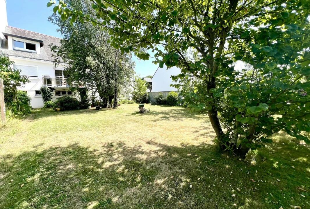 1978-11042026-131554-2