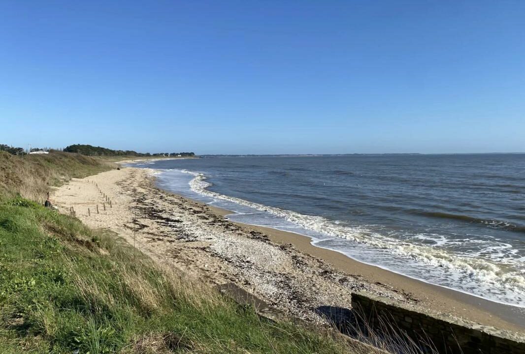 2011IG-13042026-145451-5